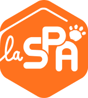 La SPA (retour à l'accueil)
